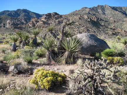 I wake up early and look outside to another warm sunny day: sadly, the final morning of this trip