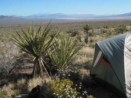 A colourful and very long freight train crosses the Ivanpah Valley a couple of miles down the fan from my tent