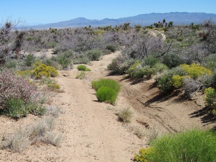 I finally get past the rocky part of the road to a more ridable stretch