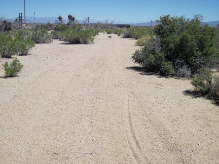 I ride through the sandy area at the end of the road and arrive at the train tracks in Ivanpah Valley