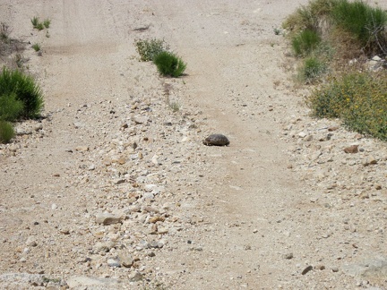 I slam on the brakes while coasting down to a wash crossing on Brant Road, due to a &quot;special rock&quot; in the road