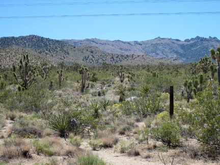 I look across the train tracks from Brant Road toward the Sacaton Spring area