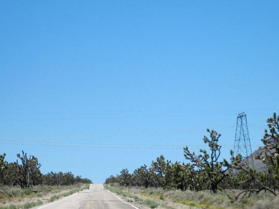 Approaching the power lines that cross Cima Road, I start looking for the dirt road that I'll follow somewhere at my left
