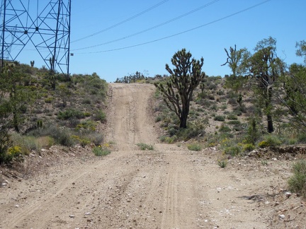 The powerline road starts out evenly, but I run into a short steep hill, as expected