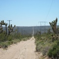 I've crossed the high point of the powerline road and now have a bit of downhill ahead of me; this will be a fun change