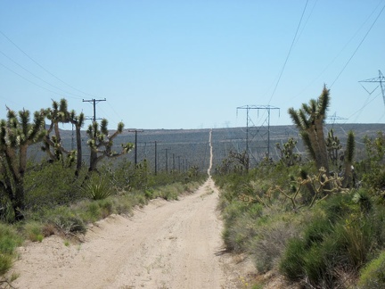 I've crossed the high point of the powerline road and now have a bit of downhill ahead of me; this will be a fun change