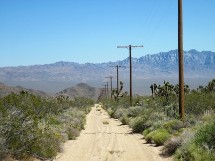 I pause when I cross the junction of Rainbow Wells Road to enjoy the view across to the Providence Mountains