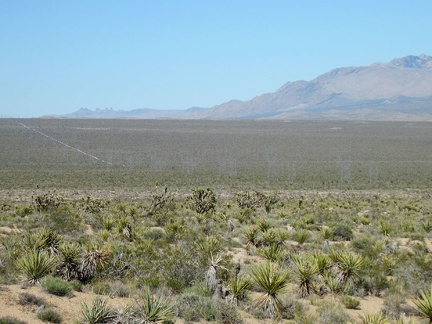 Nice view across the flank of Cima Dome and the powerline road that I just finished riding, from the summit of the Mojave Road