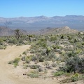 The old Mojave Road heads briefly southwest; I'm heading toward the Old Dad Mountain area for a short while