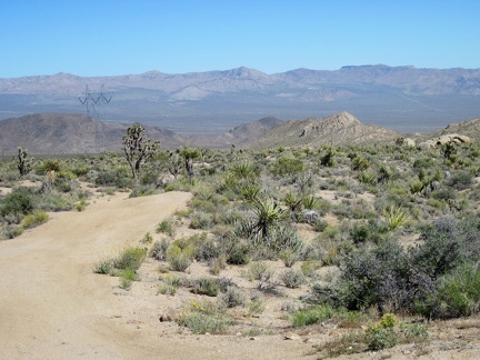 The old Mojave Road heads briefly southwest; I'm heading toward the Old Dad Mountain area for a short while