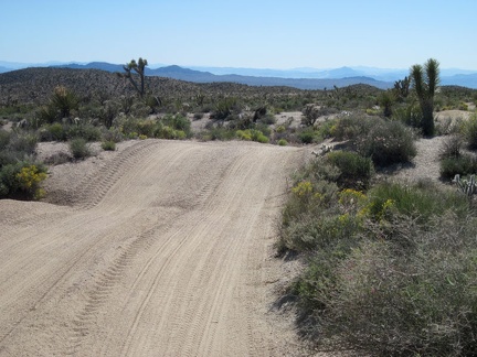 Parts of the old Mojave Road are like a roller coaster, rising and falling gently over the desert terrain