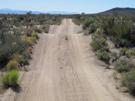 Up, down, up, down, on the old Mojave Road; my fat tires hiss in the sand