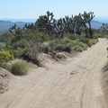 The old Mojave Road gets a bit more sandy as I head westward (and downward) after my stop at the Mojave Road mailbox