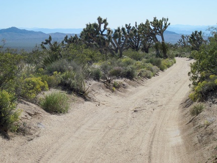 The old Mojave Road gets a bit more sandy as I head westward (and downward) after my stop at the Mojave Road mailbox