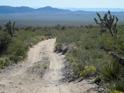 I like the occasional rocky stretches on the old Mojave Road because they add traction to the sandy road