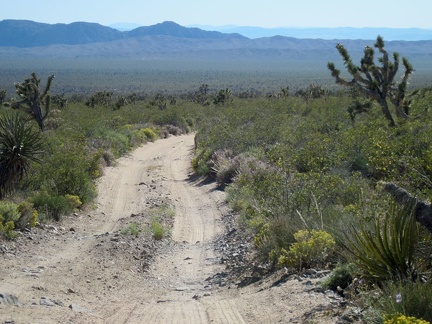 I like the occasional rocky stretches on the old Mojave Road because they add traction to the sandy road