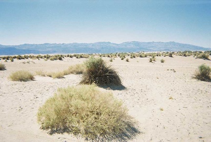 Along 190 crossing the floor of Death Valley