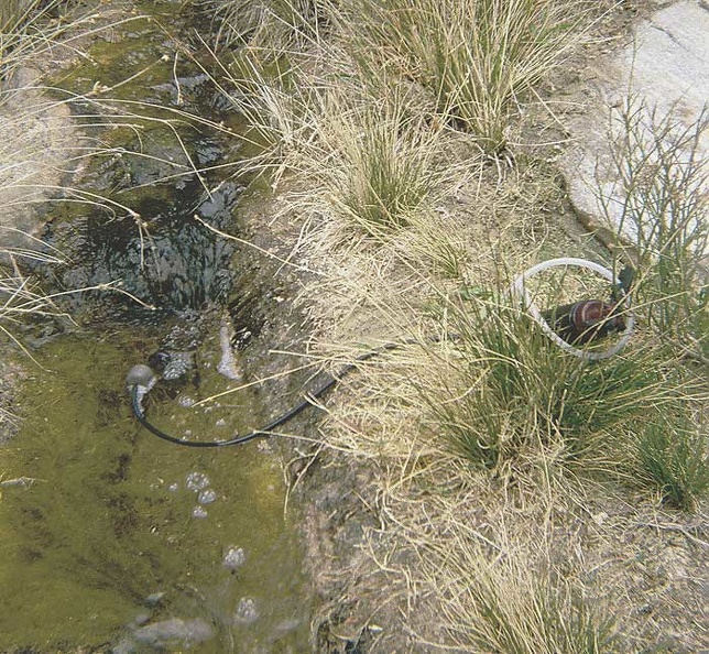 The stream from Monarch Spring should provide fairly decent drinking water once filtered