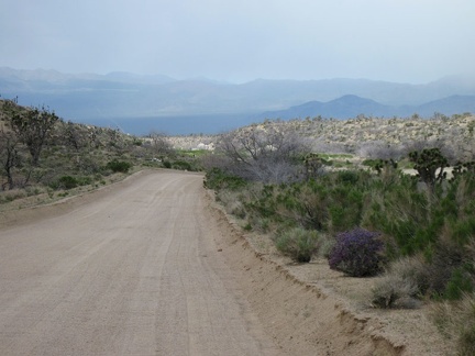 The road pops out of Cedar canyon and begins its way down the foothills toward Kelso-Cima Road