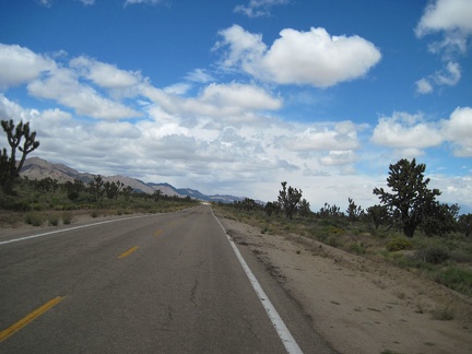 I finish my snacks from the Cima Store and start riding Morning Star Mine Road, which is flat at first