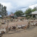 Adjacent to the tent-camping area is the Nipton Bed-and-Breakfast and the café