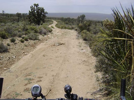 I ride down the Butcher Knife Canyon road, satisfied that I've managed to leave my campsite by 13h