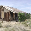 Death Valley Mine house #2 also has drought-tolerant vines growing in front of it