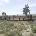 The walls around the corral out back send a prominent "keep out" message