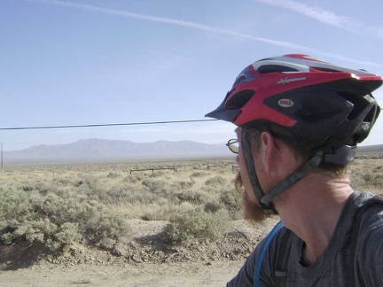 The scrub at the bottom of Ivanpah Valley is different from most areas in Mojave National Preserve