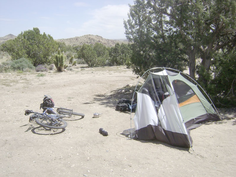 Last night's strong wind continues this morning and tries to push the tent around while I get ready to dismantle it