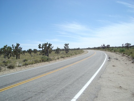 I take a break on the way up endless Morning Star Mine Road (at the old corral) and see a bicycle speed down the road