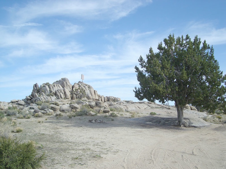  The first campsite has this beautiful tree for shade, but is too close to the paved road for my taste