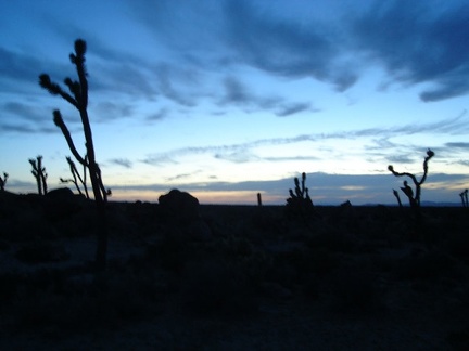 Sunset in the Cima Dome area is always beautiful, and tonight is no exception