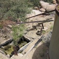 The old cistern at Howe Spring is dry, but there is some water in the adjacent hole in the ground