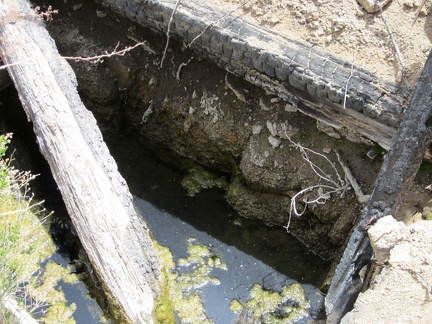 The water at Howe Spring is quite stagnant!