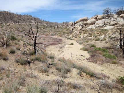 I continue walking up the wash beyond Howe Spring toward the top of one of the forks of Butcher Knife Canyon