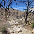 The hike down into Butcher Knife Canyon starts off as a small, rocky drainage