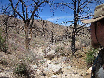 The hike down into Butcher Knife Canyon starts off as a small, rocky drainage
