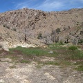  A little further down Butcher Knife Canyon, a green carpet covers the sandy ground