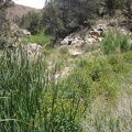 I've just reached the really green part of Butcher Knife Canyon