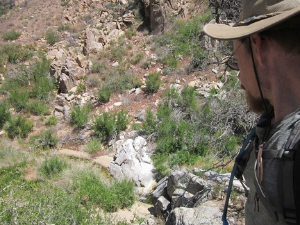 On the other side of Butcher Knife Canyon, I find myself on ground too steep (again), and have to climb back down to the stream