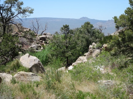 I come around a bend in Butcher Knife Canyon and get my first view out toward Cima Dome
