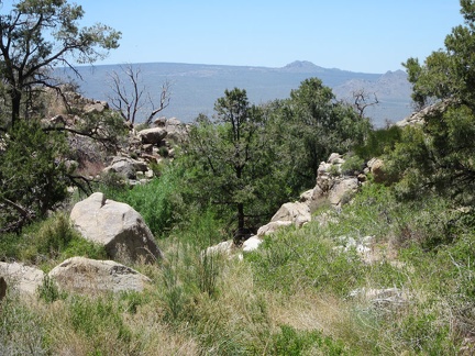 I come around a bend in Butcher Knife Canyon and get my first view out toward Cima Dome