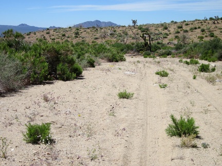 The road up to Butcher Knife Canyon is just outside the Wilderness boundary, beyond which vehicles are prohibited