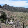 Cottonwood Spring is only a bit more than a mile away