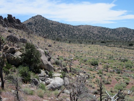 Cottonwood Spring is only a bit more than a mile away