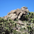 There's never a shortage of rock formations to amuse one's eyes while hiking in the Mid Hills and New York Mountains