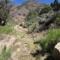 I locate the stream that emanates from Cottonwood Spring and start following it upstream