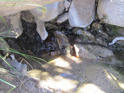 I arrive at what appears to be the source of Cottonwood Spring, spring #3 on today's hike
