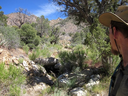 I figure that I might as well walk over the hill to the real Cottonwood Spring as marked on my maps, since I'm in the area